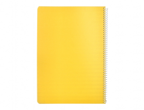 Cuaderno espiral Liderpapel Din A4 pautaguia tapa plastico 80h 90gr cuadro pautado 171870, imagen 4 mini