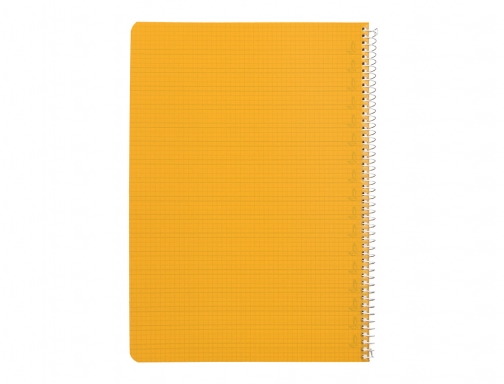 Cuaderno espiral Liderpapel Din A4 pautaguia tapa plastico80h 90gr cuadro pautado 4mm 171876, imagen 4 mini