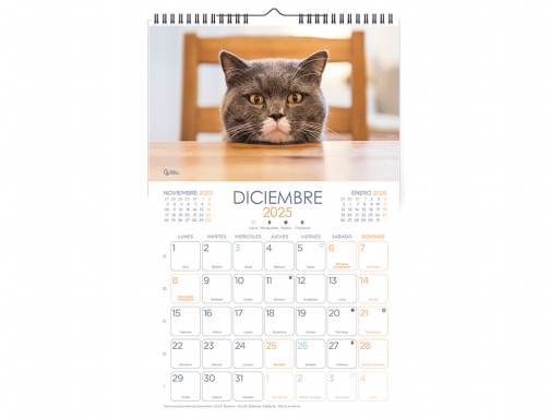 Calendario espiral pared Liderpapel imagenes gatos 2025 para escribir 25x40 cm papel 170644, imagen 4 mini