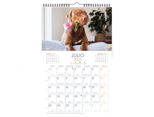 Calendario espiral pared Liderpapel imagenes perros 2025 para escribir 25x40 cm papel 170645, imagen 4 mini