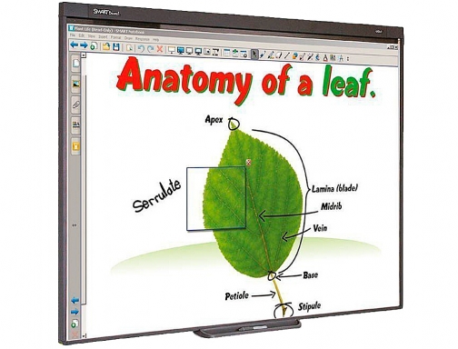 Pizarra interactiva sb480 77 con proyector soporte y altavoces Promethean PACK SB480 MEDIO, imagen 2 mini