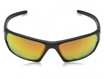 Gafas de proteccion Deltaplus rimfire